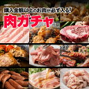 12位：福袋 肉ガチャ 肉福袋 食品 冷凍 肉 精肉 加工品 詰め合わせ