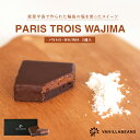 18位：パリトロ・WAJIMA 2個入 [2/2-2/19着迄] ギフト チョコレート お菓子