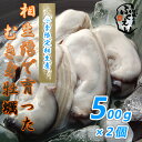 25位：[送料無料]　剥き身 牡蠣 500g×2個 【冷蔵便】 漁師が販売、とれたて新鮮な むき身 カキ です。 生食用 兵庫県 相生