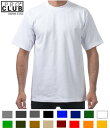 31位：プロクラブ PRO CLUB ヘビーウエイト 半袖 Tシャツ:101 size S ～5XL