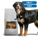 51位：INUMESHI　フィースト　1歳以上　大型犬用　15kg　ブリーダーパック