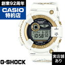 35位：【レビュー投稿でノベルティ進呈6/30まで】ICERC Japan コラボモデル 2024 FROGMAN フロッグマン イルクジ GW-8201K-7JR CASIO カシオ G-SHOCK Gショック ジーショック 時計 腕時計