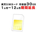 51位：【1ヵ月から12ヵ月ご利用延長】楽天　SIMカード　月容量30GB　ご利用期間延長　Rakuten