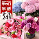 Thumbnail of post image 132