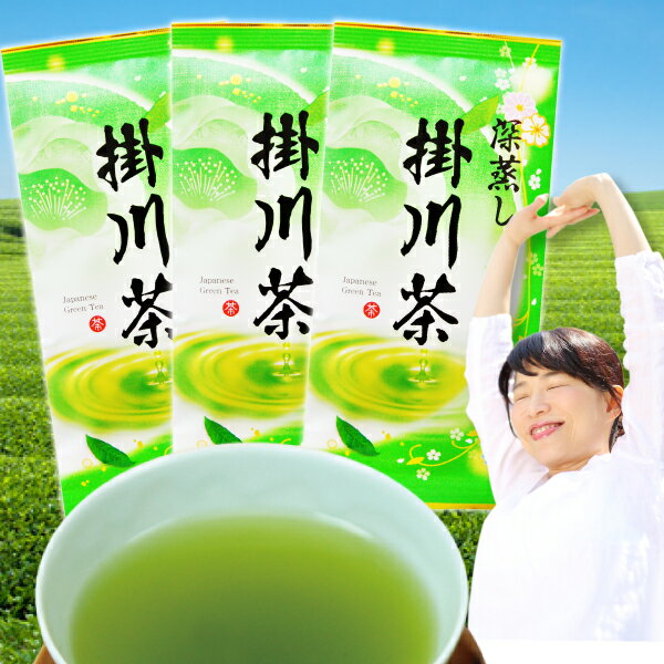 お茶 セール まとめ買い 5割増量 セール 1000円ポッキリ 2025年度産 深蒸し掛川茶100g3本セット 注目のお茶2本+1本お茶セット ポスト投函便 送料無料 食品 ポイント消化OK おいしい 深蒸し茶 煎茶 静岡茶