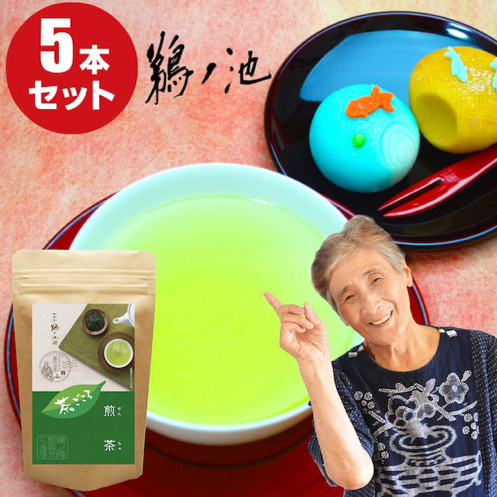 ＜マラソン期間 半額＞ 50%OFF 新茶 2025年 八女茶 煎茶 送料無料 茶ごころ 100g 5袋セット 送料無料 お茶 緑茶 日本茶 茶葉 深蒸し茶 ポイント消化 お土産 セット 贈り物 九州産 ランキング ネコポス 鵜ノ池製茶