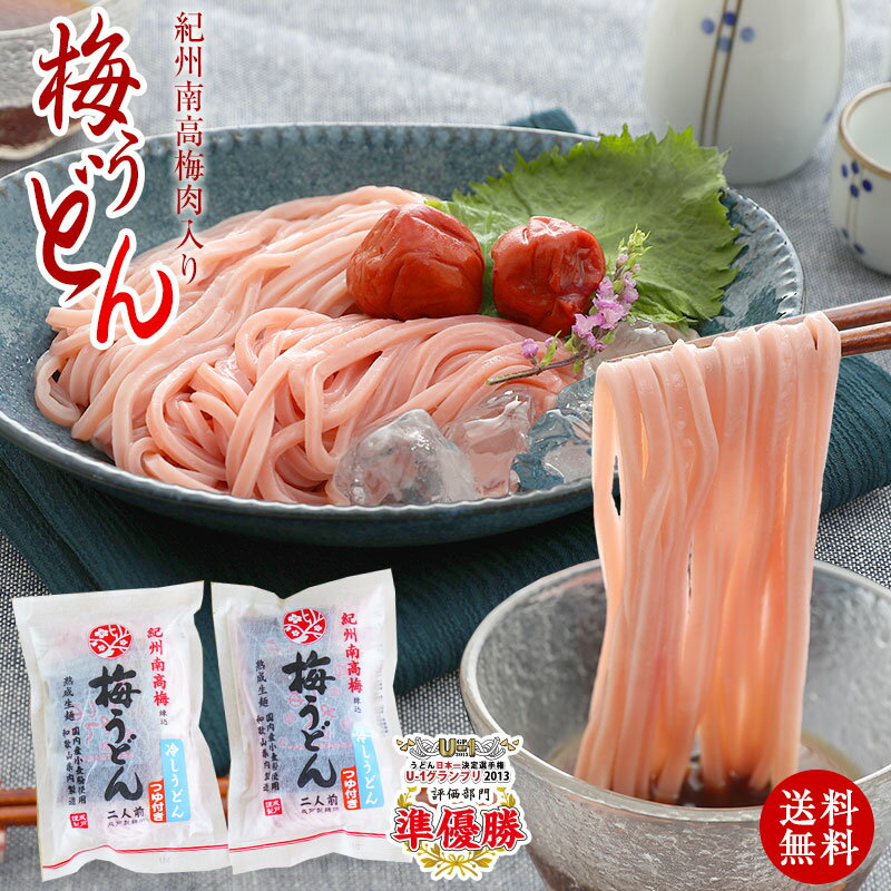 送料無料 プチ ギフト ご自宅用に紀州梅 うどん 4食めんつゆ付冷やしうどん、かけうどんが選べる国産小麦使用の冷しうどん【食品ランキング1位獲得】SNS 話題うどん日本一決定戦全国二位！ お試し ネコポス