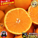 Thumbnail of new posts 182