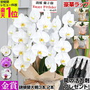 Thumbnail of new posts 087