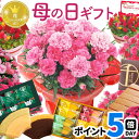 Thumbnail of new posts 068