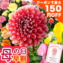 Thumbnail of new posts 022