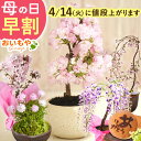 Thumbnail of new posts 175