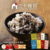 食品 TOP3（10:00）