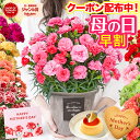 Thumbnail of new posts 011