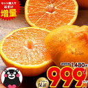 Thumbnail of new posts 014