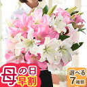 Thumbnail of new posts 195