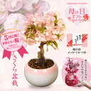 Thumbnail of new posts 194