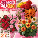 Thumbnail of new posts 081