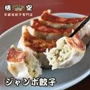ジャンボ餃子 栃木県産品 宇都宮市 悟空