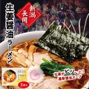 新潟 長岡 生姜醤油ラーメン