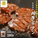 本場仙台専門店の味 特選 厚切り 牛たん お試し 250g 2〜3人前