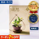 Thumbnail of new posts 040
