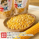 佐渡産 ポップコーン用とうもろこし