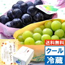 Thumbnail of new posts 091