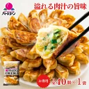 冷凍食品 惣菜 餃子/バーミヤン 本格生餃子 40個入り