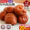 ＼最大50%OFFクーポン配布中／ 梅干し 梅 しそ漬梅 はちみつ梅 350g