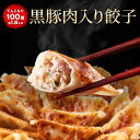 【エントリーでポイント最大20倍！クーポンで半額】【ショップ・ザ・イヤー2024 受賞】【月間100万個以上完売】 黒豚肉入り餃子100個 1.9キロ 一龍堂 餃子 ぎょうざ ギョウザ ギョーザ 生餃子 冷凍餃子 冷凍生餃子 冷凍食品 送料無料 国産豚肉