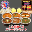 【クーポン利用半額|セール期間限定】【送料無料】【6 Curry 6 Select Nan】カレー パン ご飯 12品 セット チーズナン ご当地 レトルト ではない 冷凍 スパイス カレー粉 母の日 父の日 ギフト 詰め合わせ 湯煎 お弁当