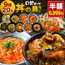 ＼ 期間限定 SALE 半額！／ 【 送料無料 】丼の具 9種 20食 レンジ 温めるだけ 一人暮らし 仕送り 惣菜 セット 牛丼 海鮮丼 サーモン丼 豚丼 カルビ 生姜焼き 豚キムチ すき焼き 牛すじ 詰め合わせ 冷凍食品 おかず 時短 単身赴任 サーモン 海鮮 肉牛肉グルメ